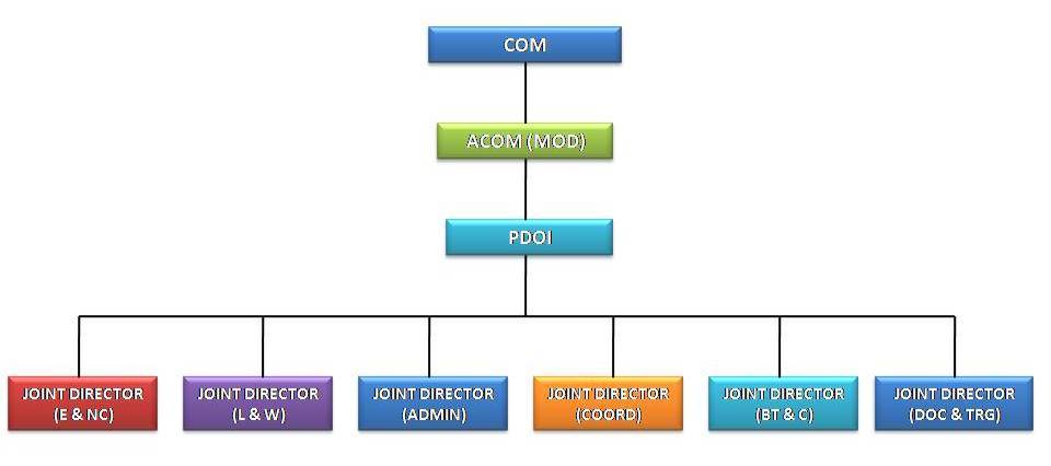 Figure 2.2  Organisation Chart of DOI