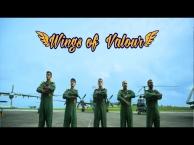 Naval Aviation - Wings of Valour